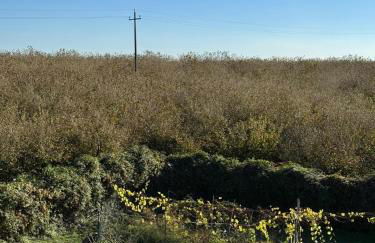 Giardino degli ulivi - Foto 43