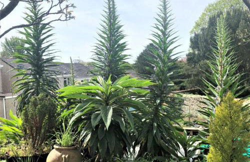 1 Bed in St. Erth oc-c27438 - Foto 16