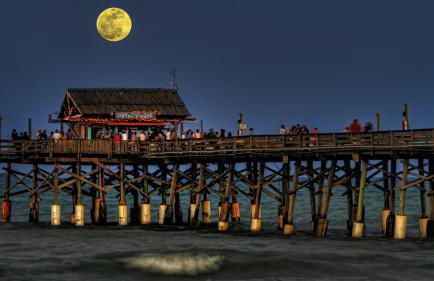 Chateau by the Sea 302 - Foto 75