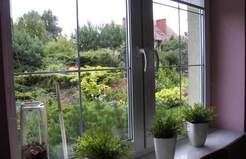 Kaszubiana direkt in der Natur - Photo 30