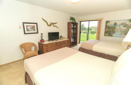 The Grey Gull - Foto 148