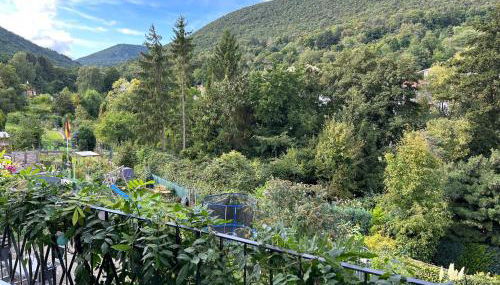 Pfälzer Traumblick - Foto 4, Garden view