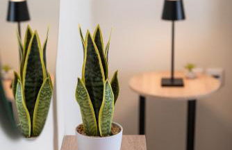 Comfort Stay - 3 min Walk to Beach & Town - III - Foto 26