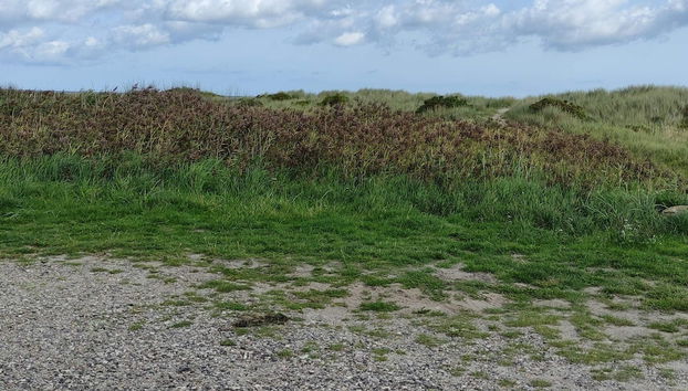 Cozy Holiday Home in Sæby near Sea - Foto 4