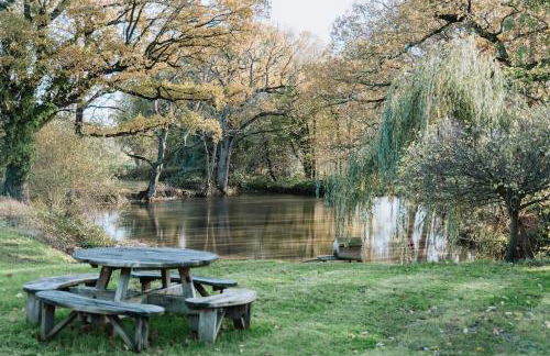 NEW Cosy cottage - Lake view & Log Burner - Dog proof garden - Foto 8