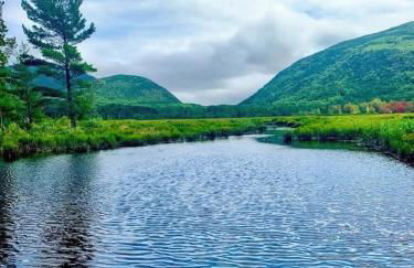 Acadia Park Suites 2 - Foto 26