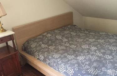 Kołatek Mazury Apartament z widokiem - Foto 15