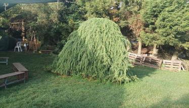 Agriturismo - fattoria didattica Caratozzolo - Foto 5, Garden, Garden view