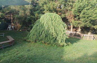 Agriturismo - fattoria didattica Caratozzolo - Foto 5