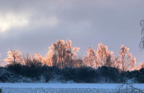 Ferienwohnung Heideberg - Foto 19