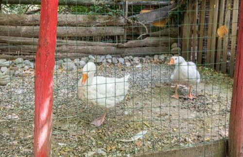 Colleincanto Appartamento Lina - Foto 23