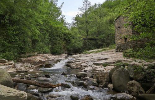 Wayne's house, a short walk to the waterfalls - Foto 16