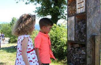 Tenuta di Forte Sorgnano - Foto 31