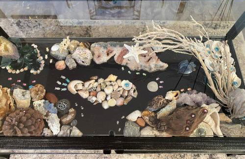 Alaska's Point of View Full Suite - Foto 23