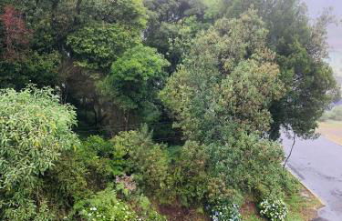 Apartamento em Gramado - Foto 63