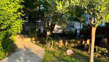 Apartments Curnić - Photo 4, Garden
