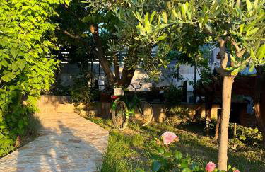 Apartments Curnić - Photo 4