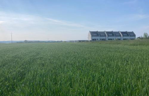 Domki Ostoja - nad Bałtykiem - cisza i piękno natury - Photo 37