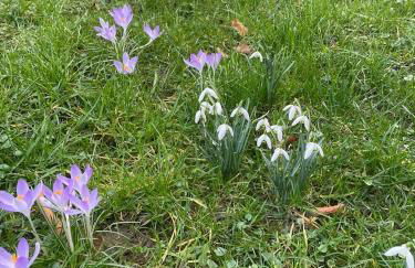 Stadtmitte-Iserlohn - Foto 1