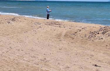 Mirador al Mar 85 Apartamento único sobre el mar - Photo 26