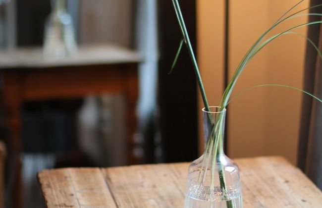 the backyard - Foto 23