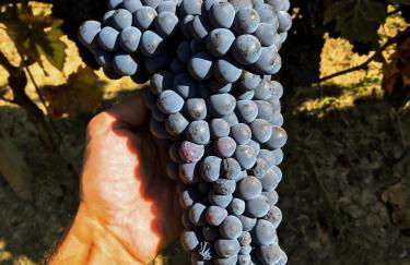 Agriturismo "Le Giustizie" - Foto 55