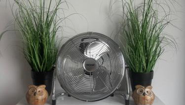 Green Harmony - Foto 3