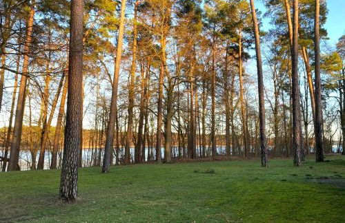 Ferienhaus direkt am See Uckermark - Photo 29