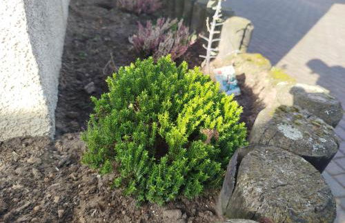 Apartment-Design 1, Altendtadt - Foto 16