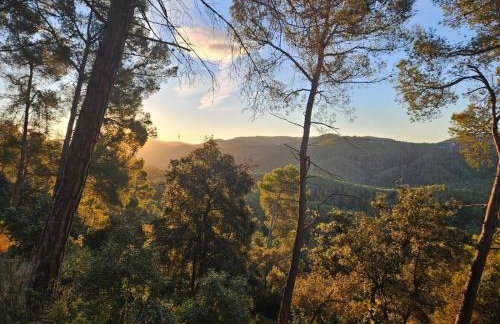 Poolside Apartment Barcelona Sant Cugat - Foto 37