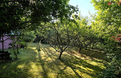 Domek pod Wiewiórką digital detox & balance - Foto 11