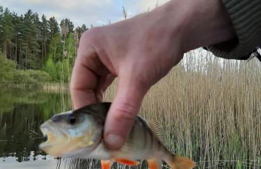 An den Sieben Seen - Foto 32