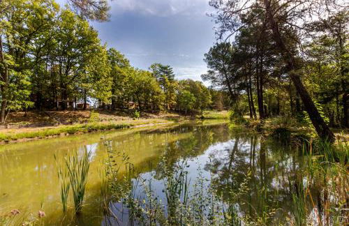 Gite 1 de l'Orée du Bois - Foto 23