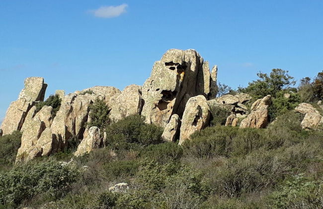 Casa Felicita Comfortable Holiday Residence - Foto 20