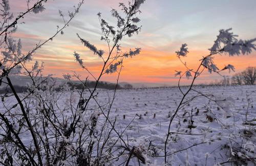 Ferienwohnung Talblick - Photo 27