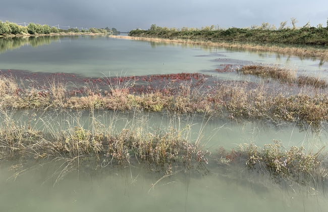 Agriturismo La Barena - Foto 57