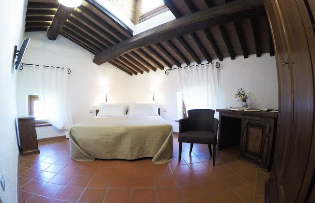 Boschi di Montecalvi - Foto 14