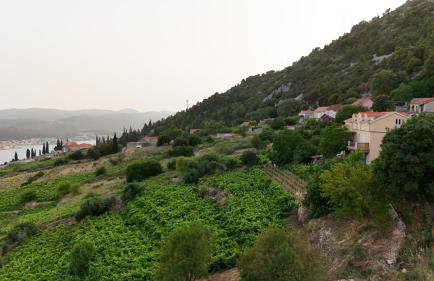 Apartman Dani - Foto 8