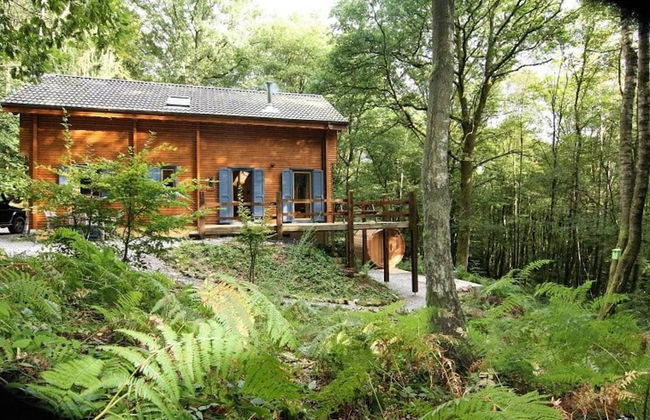 Cozy, Wooden Chalet With a Microwave, Located in a Forest - Foto 32