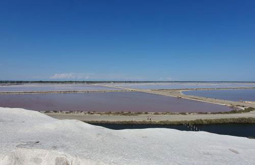 La petite Camargue - Foto 14