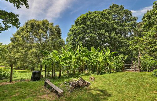 Cookout Ready! Sweet Suite with Views in Leicester - Foto 21