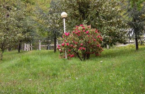 Agriturismo Le Giare - Photo 46