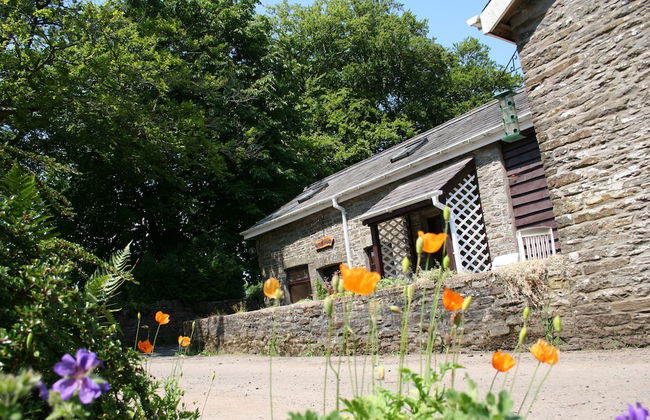 Swansea Valley Holiday Cottages - Foto 40