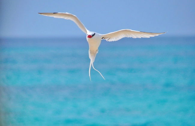 Swyn - The Flat Close To The Beach - Foto 54