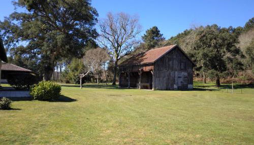 LE PETIT FROUAS CENTRE - Foto 2, Garden
