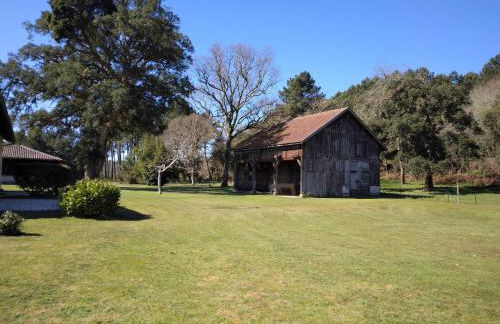 LE PETIT FROUAS CENTRE - Foto 2