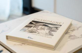 Résidence Champenoise Lancelot Rouyer ST RÉMY - Foto 21