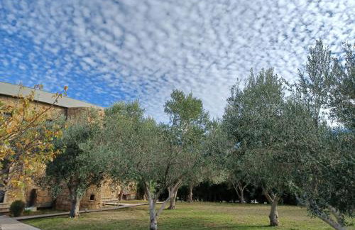 Castle on the edge of the sea - Foto 40