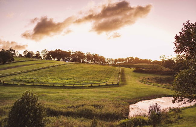 Beechmont Estate - Foto 25