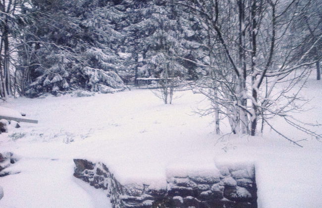 Holiday Home in Odeigne With Sauna - Photo 33